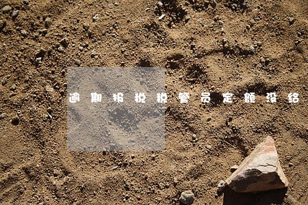 逾期报税税管员定额没给上报 逾期报税税管员定额没给上报