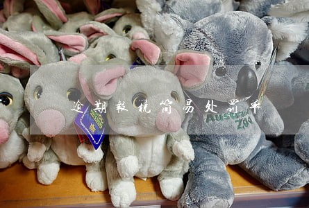 逾期报税简易处罚单 逾期报税简易处罚单