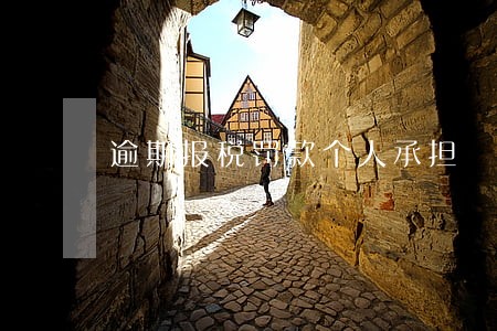 逾期报税罚款个人承担 逾期报税罚款个人承担