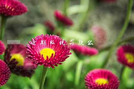 逾期报税罚款么 逾期报税罚款么