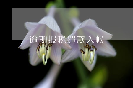 逾期报税罚款入帐 逾期报税罚款入帐