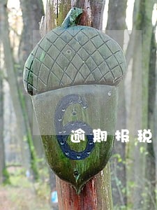 逾期报税罚款怎么和老板说 逾期报税罚款怎么和老板说