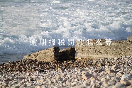 逾期报税罚款怎么算 逾期报税罚款怎么算