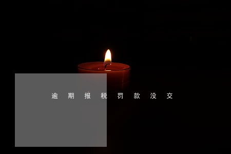 逾期报税罚款没交 逾期报税罚款没交