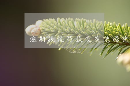 逾期报税罚款没有凭据凭什么入账