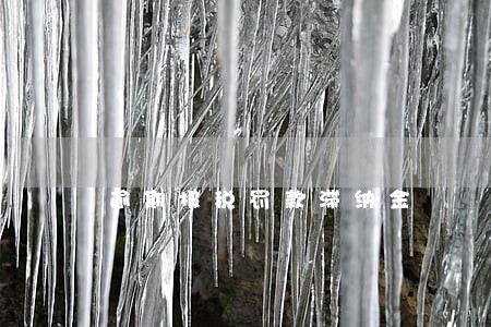逾期报税罚款滞纳金 逾期报税罚款滞纳金