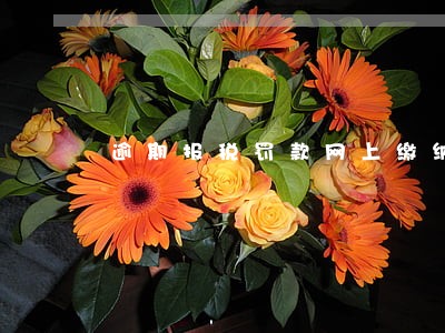 逾期报税罚款网上缴纳