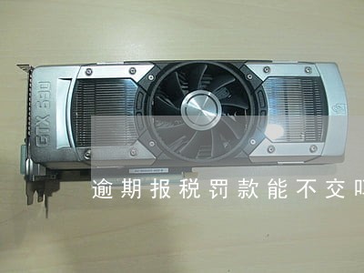 逾期报税罚款能不交吗