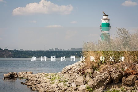 逾期报税罚款账务处理 逾期报税罚款账务处理