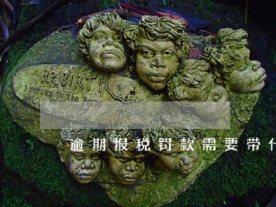 逾期报税罚款需要带什么资料