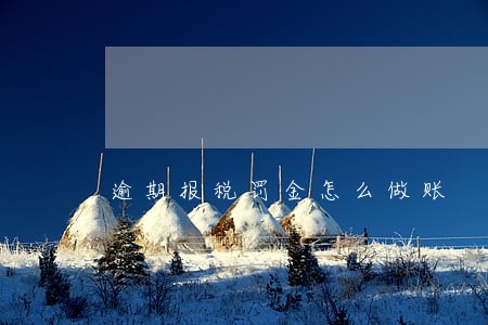 逾期报税罚金怎么做账 逾期报税罚金怎么做账