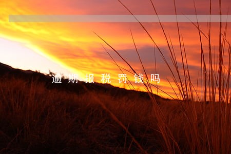 逾期报税罚钱吗 逾期报税罚钱吗
