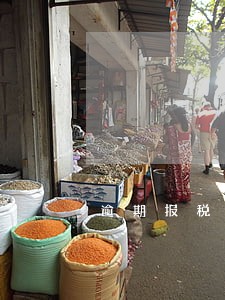 逾期报税行政处罚