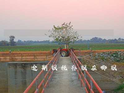 逾期报税补报在哪报 逾期报税补报在哪报
