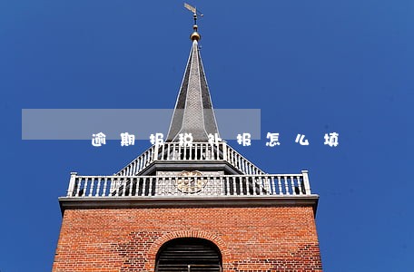 逾期报税补报怎么填 逾期报税补报怎么填
