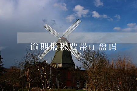逾期报税要带u盘吗 逾期报税要带u盘吗