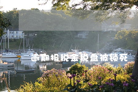 逾期报税金税盘被锁死 逾期报税金税盘被锁死