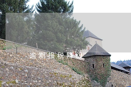 逾期报税降级 逾期报税降级