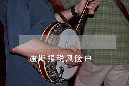 逾期报税风险户 逾期报税风险户