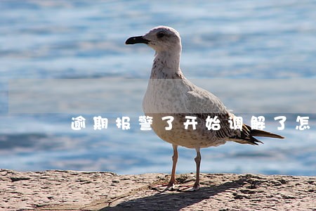 逾期报警了开始调解了怎么办 逾期报警了开始调解了怎么办