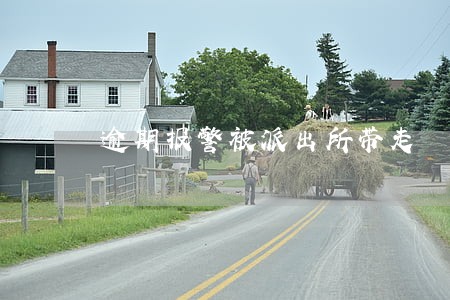 逾期报警被派出所带走