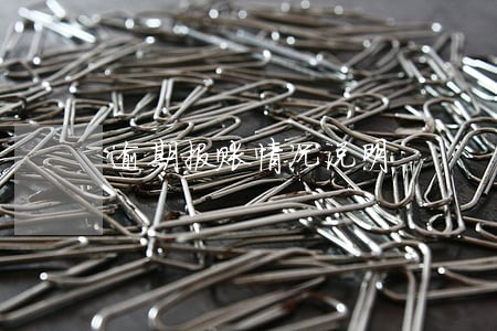 逾期报账情况说明 逾期报账情况说明