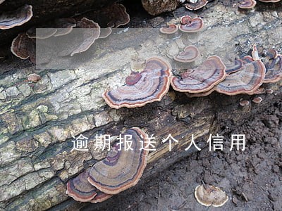 逾期报送个人信用 逾期报送个人信用