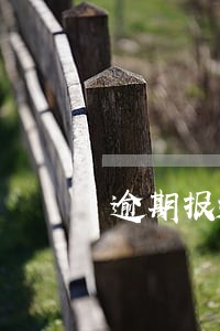 逾期报送后果自负 逾期报送后果自负