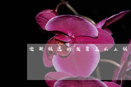 逾期报送的发票怎么上报 逾期报送的发票怎么上报