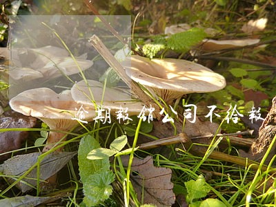 逾期报销公司不给报 逾期报销公司不给报