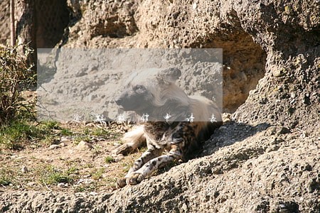 逾期报销申请表 逾期报销申请表