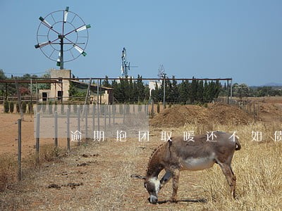 逾期抱团取暖还不如债务重组 逾期抱团取暖还不如债务重组