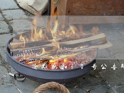 逾期抵扣50号公告解读 逾期抵扣50号公告解读