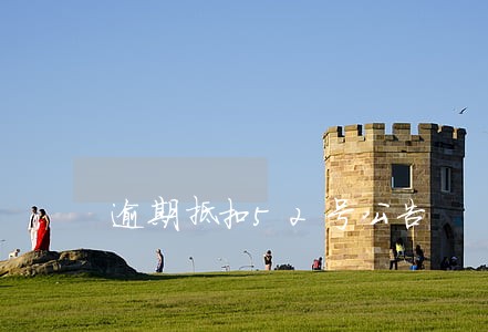 逾期抵扣52号公告