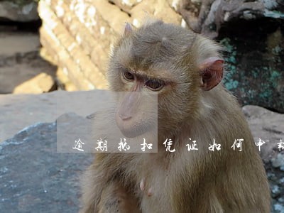 逾期抵扣凭证如何申报 逾期抵扣凭证如何申报