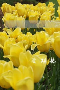 逾期抵扣凭证提醒需要管吗 逾期抵扣凭证提醒需要管吗