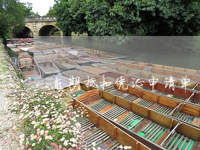 逾期抵扣凭证申请单 逾期抵扣凭证申请单