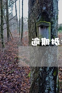 逾期抵扣增值税发票