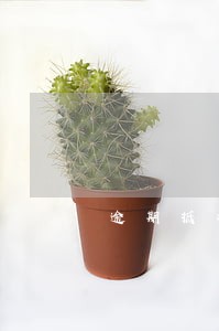 逾期抵扣增值税情况说明 逾期抵扣增值税情况说明