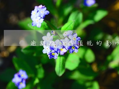 逾期抵扣增值税的影响 逾期抵扣增值税的影响