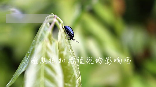 逾期抵扣增值税的影响吗 逾期抵扣增值税的影响吗