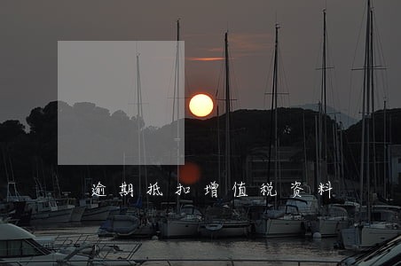 逾期抵扣增值税资料 逾期抵扣增值税资料