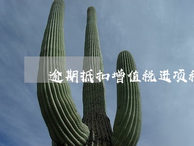 逾期抵扣增值税进项税 逾期抵扣增值税进项税