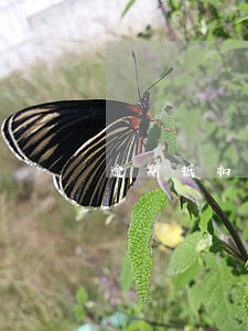 逾期抵扣增值税需要什么资料 逾期抵扣增值税需要什么资料