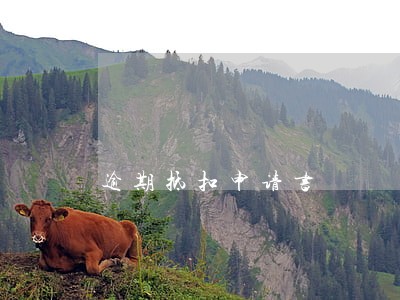 逾期抵扣申请书 逾期抵扣申请书