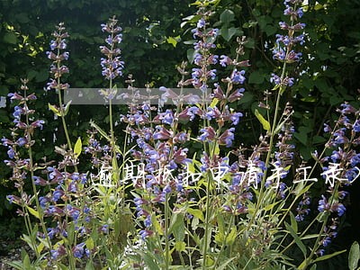 逾期抵扣申请手工录入 逾期抵扣申请手工录入