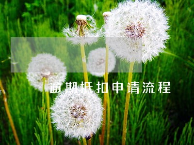 逾期抵扣申请流程
