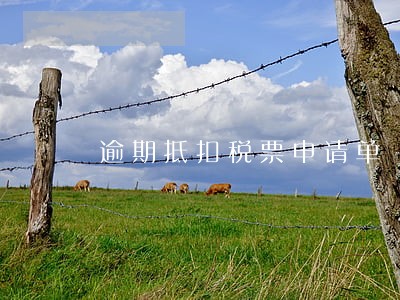 逾期抵扣税票申请单 逾期抵扣税票申请单