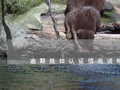 逾期抵扣认证情况说明 逾期抵扣认证情况说明