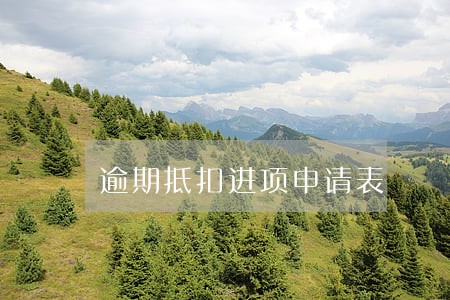逾期抵扣进项申请表 逾期抵扣进项申请表